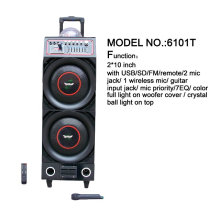 Big Power DJ Speaker 6101t